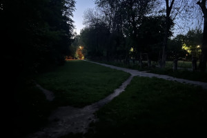 Во Владимире улица рядом со школой утонула в темноте