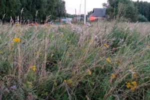 Следком начал проверку после смерти 15-летнего подростка в карьере под Юрьев-Польским