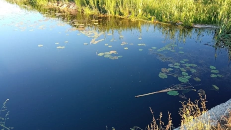 Жители Владимирской области достали из озера тело 45-летнего мужчины