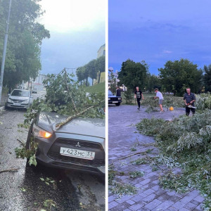 Взгляд из соцсетей. Как ураган прошелся по Владимирской области