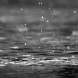 Во Владимирскую область придут затяжные дожди