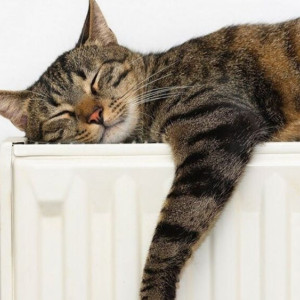 Мэрия рассказала, когда отключат отопление во Владимире