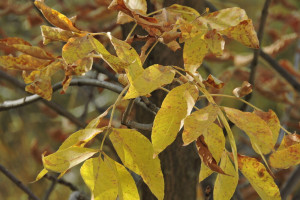 Прогноз погоды во Владимире и области на 3 сентября