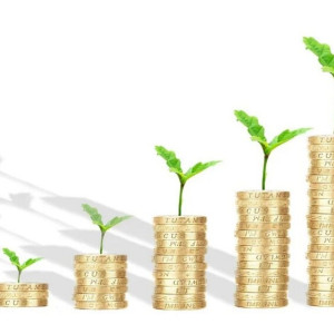 Бюджет Владимирской области увеличат на 8,65 млрд рублей