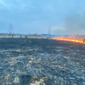 Во Владимирской области начался сезон ландшафтных пожаров