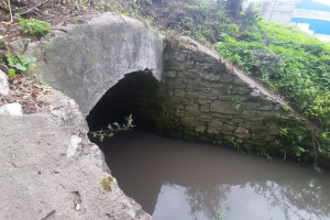 Владимирский водоканал проверит реку Лыбедь после жалоб жителей на вонь