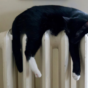 Где во Владимире включат отопление 21 сентября