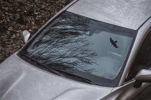 Жителя Владимира будут судить за порчу иномарки бывшей возлюбленной
