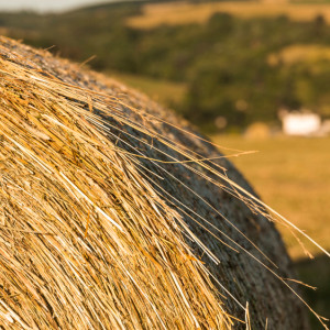 Михаил Соломенный: что можно и нельзя делать 13 октября