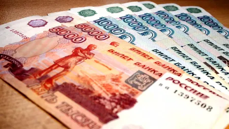 Владимирский губернатор значительно сократил выплаты из областной казны участникам СВО