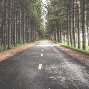 Мэра Владимира через суд заставили отремонтировать дорогу от Спасского до Мосино