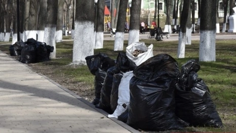 Владимирцев пригласили на общегородской субботник 20 апреля