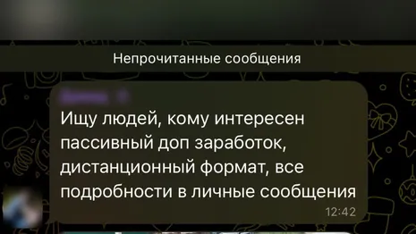 Мошенники начали завлекать владимирцев в незаконный бизнес