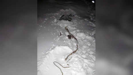 Двое нижегородцев украли 800 кг металла с поезда в Муроме