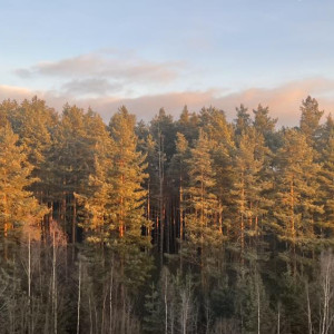 Прогноз погоды во Владимирской области на 20 ноября 2025 года