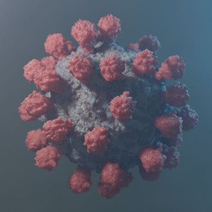 Коронавирус во Владимирской области: 20 апреля