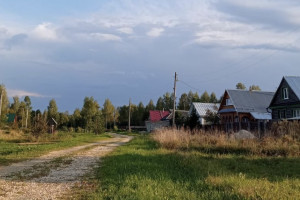 История с выдачей участка на бездорожье семье из Меленок дошла до Бастрыкина