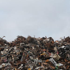 Во Владимирской области отходы вывозили на переполненный полигон