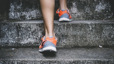 Полицейские массово выйдут на зарядку в городском парке Владимира