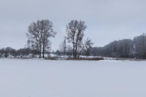 В Суздале снесли незаконно возведенную базу отдыха на берегу озера