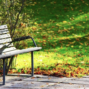 Во Владимире благоустройством сквера имени Кутузова займутся москвичи