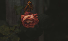 Во Владимирской области пропавшую в феврале 44-летнюю женщину нашли мертвой