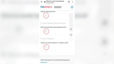 Из голосования за благоустройство Владимира исчезли цифры