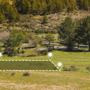 Жителю Владимирской области выдали участок на бездорожье
