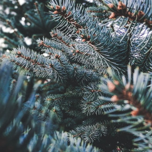 Прогноз погоды во Владимирской области на 29 ноября