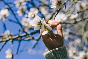 Прогноз погоды на 25 апреля 2025 года во Владимирской области