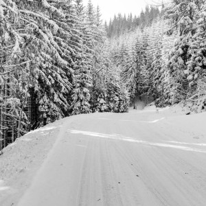 Во Владимирской области на улице нашли обледеневший труп