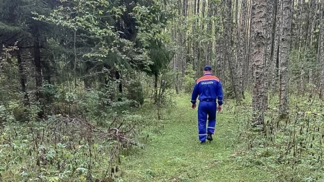 Во Владимирской области нашли труп человека в болоте