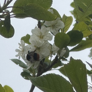 Прогноз погоды во Владимирской области на 22 мая 2025 года