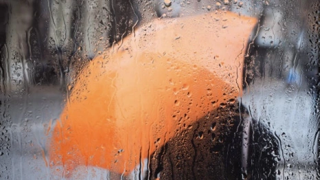 Во Владимирскую область придут фронтальные осадки