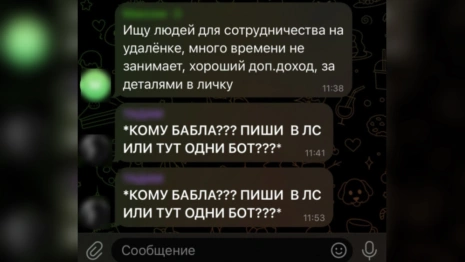 За неделю IT-мошенники «заработали» на жителях Владимирской области 40 млн рублей