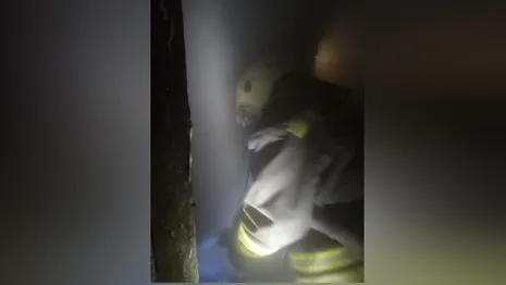 На пожаре во Владимирской области 2 человека спасли и 5 эвакуировали
