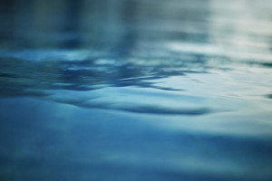 Следком начал проверку после гибели женщины с ребенком в Судогодском районе