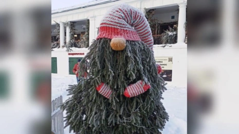 В Суздале после 25 декабря появится «Аллея елок»