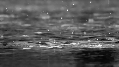 Владимирскую область затопят дожди и талые воды 