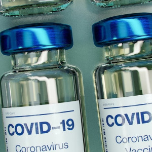 Во Владимирской области количество заболевших ковидом выросло до 11 случаев