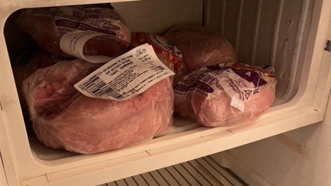 В одном из детсадов Суздаля вокруг продуктов ползали и летали насекомые