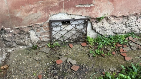 В Александрове коммунальщики замуровали кошку в подвале