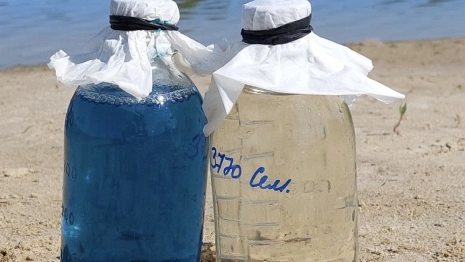 Роспотребнадзор запретил купаться в озерах Семязино и Глубокое во Владимире