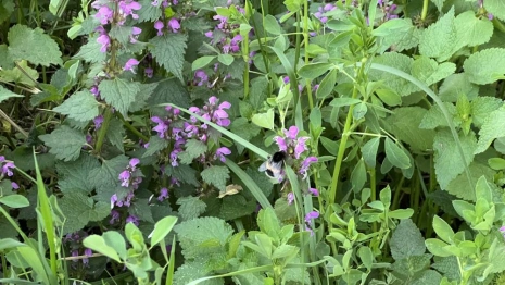 Первые майские праздники во Владимирской области закончатся потеплением