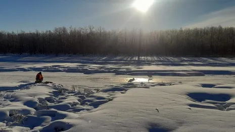Во Владимирской области пожарные спасли замерзающих в 30-градусные морозы лебедей