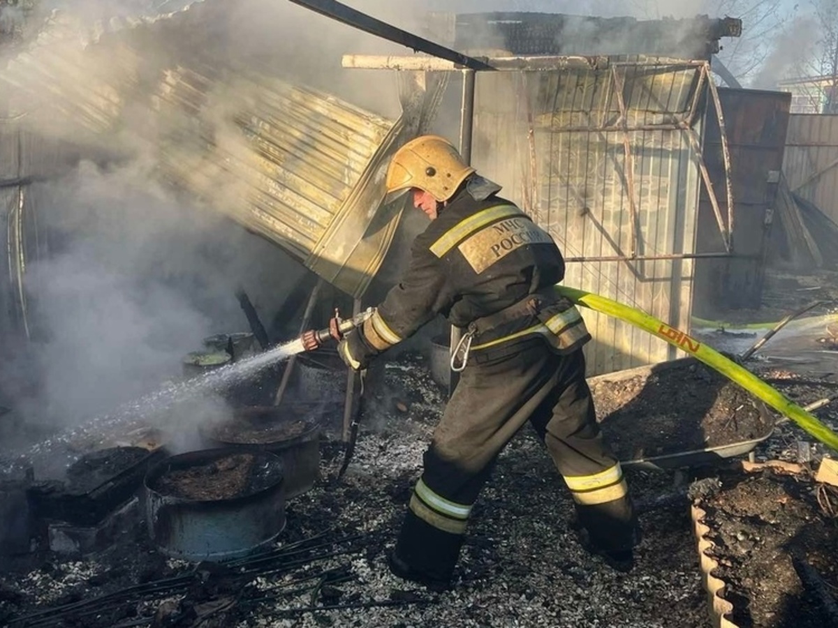 В деревне под Собинкой соседи спасли жильцов одноэтажного дома от пожара -  День во Владимире