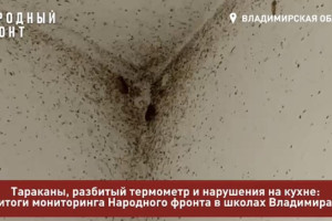 В школах Владимира поселились полчища тараканов