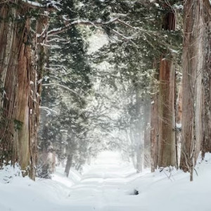 Пропавшего во Владимире 11-летнего мальчика нашли живым