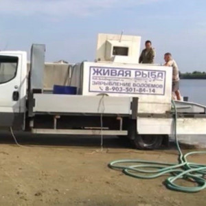 В Муроме в Оку выпустили 120 тыс. мальков краснокнижной стерляди