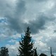 Во Владимирской области пообещали дождь с грозой вечером 1 июня